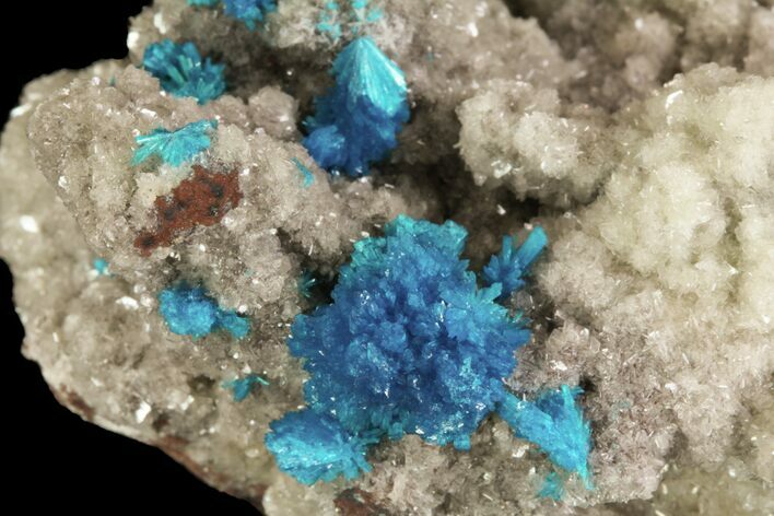 Vibrant Blue Cavansite Clusters on Stilbite - India #64815
